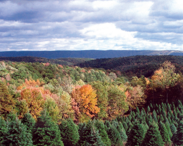 Visit The Poconos