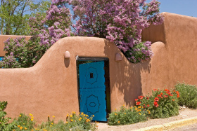 Lilacs overgrowing an adobe wall in Taos, N.M.