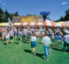 The Split Rock Resort Wine and Food Festival.