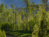 Rockies provide dramatic backdrop at Telluride links.