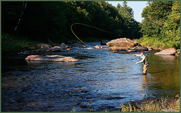 Visit the beautiful Woodstock area of Vermont.