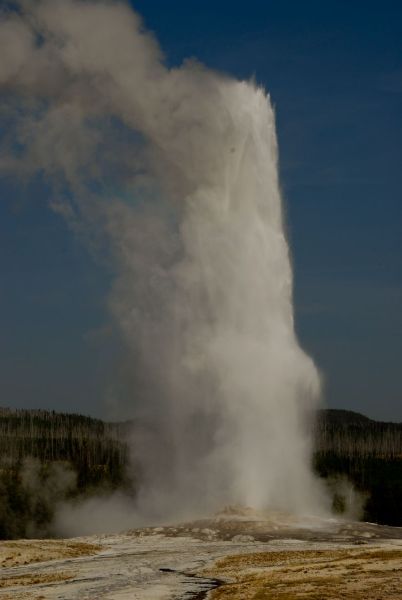 Geysers are one of the geothermal treats in Yellowstone. Photo courtesy Travel Montana. 