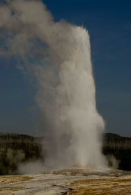 Geysers are one of the geothermal treats in Yellowstone. Photo courtesy Travel Montana. 
