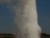 Geysers are one of the geothermal treats in Yellowstone. Photo courtesy Travel Montana. 