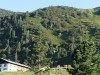 Gasthof AschenWald in Westendorf