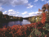 Bridge of Flowers in Shelburne Falls in the Berkshires.