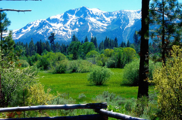 Taylor Creek Meadow under Mt. Tallac is a summer hiker's paradise. Photo by Will Hart, courtesy Lake Tahoe Visitors Authority.