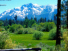 Taylor Creek Meadow under Mt. Tallac is a summer hiker's paradise. Photo by Will Hart, courtesy Lake Tahoe Visitors Authority.