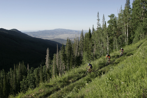 Summer scenery in Park City