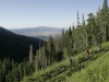 Summer scenery in Park City