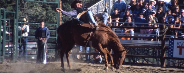 Beaver Creek, CO rodeo