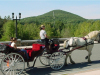 The Interlaken Inn offers horse-drawn carriage rides.