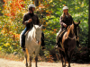 Take a trail ride at Loon Mountain Resort.