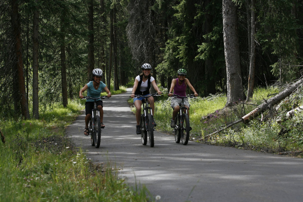 Families can bike in the Fat Tire Classic.
