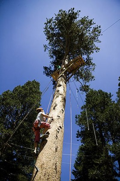 Kirkwood's tree-climbing rope course is open every weekend throughout the summer.