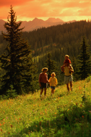 Help preserve Vail's beauty by volunteering or contributing.
