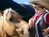 A young cowboy enjoys petting horses at Wilderness Trails Ranch during a summer ranch vacation with his family.