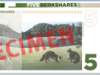 BerkShares are local currency in the Berkshires.