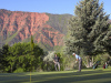 Take in the 100-foot drops to the fairways at Lakota Canyon Ranch.