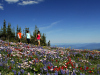 You can access hiking trails via the Sun Peaks lift near the Heffley Inn. Photo courtesy of Sun Peaks Resort/Adam Stein.