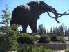 Mammoth is a good starting point for a visit to Yosemite's high country.