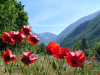 Champsaur, France