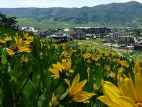 Steamboat Springs