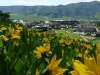 Steamboat Springs