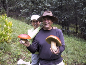 Celebrate mushrooms at Telluride