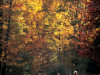 Hiking in the fall