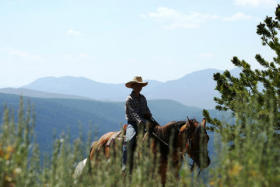 Take in the vistas of Wyoming's national parks on Togwotee's horses.