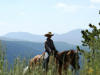 Take in the vistas of Wyoming's national parks on Togwotee's horses.