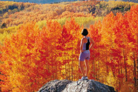 Buffalo Pass near Steamboat Springs in all its autumnal glory.