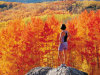 Buffalo Pass near Steamboat Springs in all its autumnal glory.