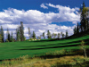 Raven Three Peaks golf course.