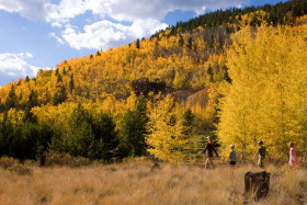 Fall in Summit County. Photo by Jeff Scroggins.