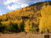 Fall in Summit County. Photo by Jeff Scroggins.