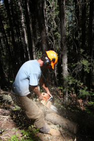 Tree trimming at Durango adds terrain. Photo by Sven Brunso.