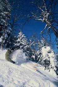 It's (almost) all natural snow at Mad River Glen.
