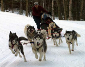 Dog sledding at Val Cenis, France