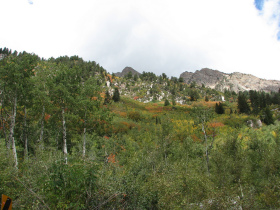 Fall in Alta, Utah.