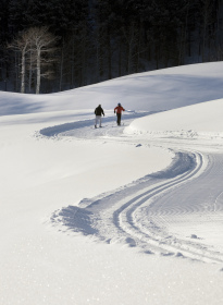 Enjoy the snow at La Rosiere