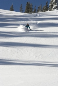 Get new or used gear at the Seattle Ski Fever and Snowboard Show just in time for the slopes to open. 