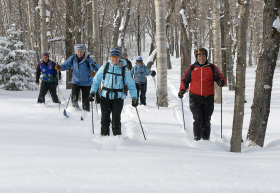Backcountry skiers come through powder on the Wildcat Valley Trail.