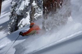 It's all powder and backcountry at Mt. Bohemia.