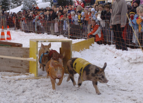 Klosters Hotsch Race