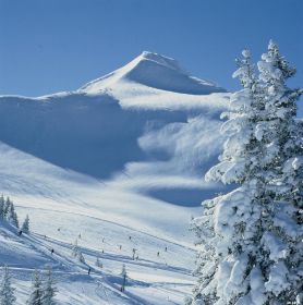 Skiing in the Kitzbuehel Alps