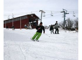 Ski Beech - Click Here To Enlarge