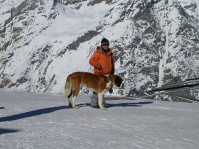 Zermatt - St. Bernard  