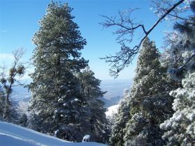 Snow Valley - running springs in winter